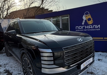Hyundai Palisade 25